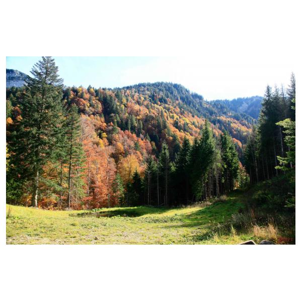 PHOTO84, CLUB, 84 , LUBERON